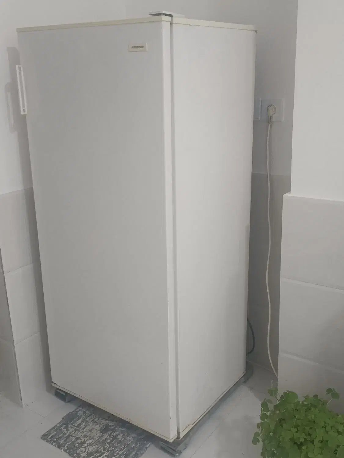 یخچال آزمایش|یخچال و فریزر|هرسین, |دیوار