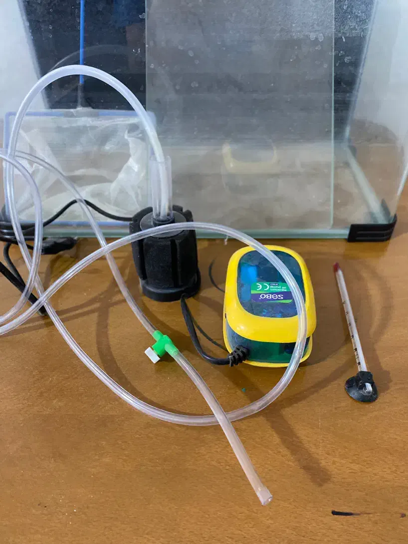 آکواریوم و لوازم|ماهی|زاهدان, |دیوار