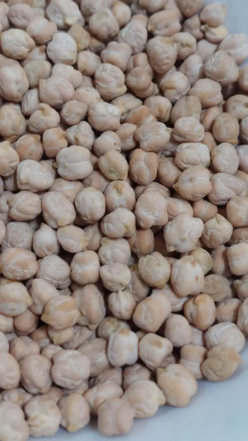 نخود پاک شده ،تمیز|خوردنی و آشامیدنی|اسدآباد, |دیوار