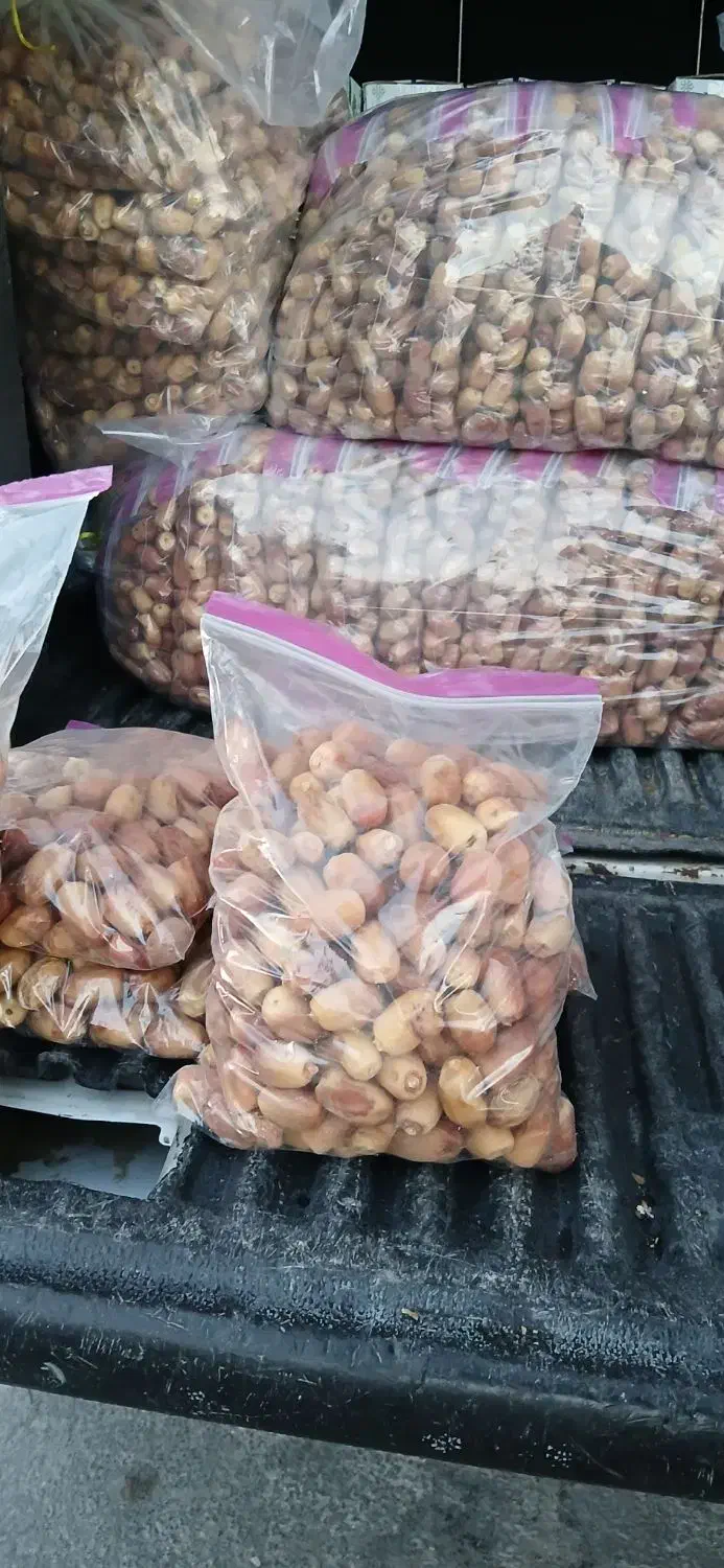 خرما جهرم|خوردنی و آشامیدنی|باغ بهادران, |دیوار