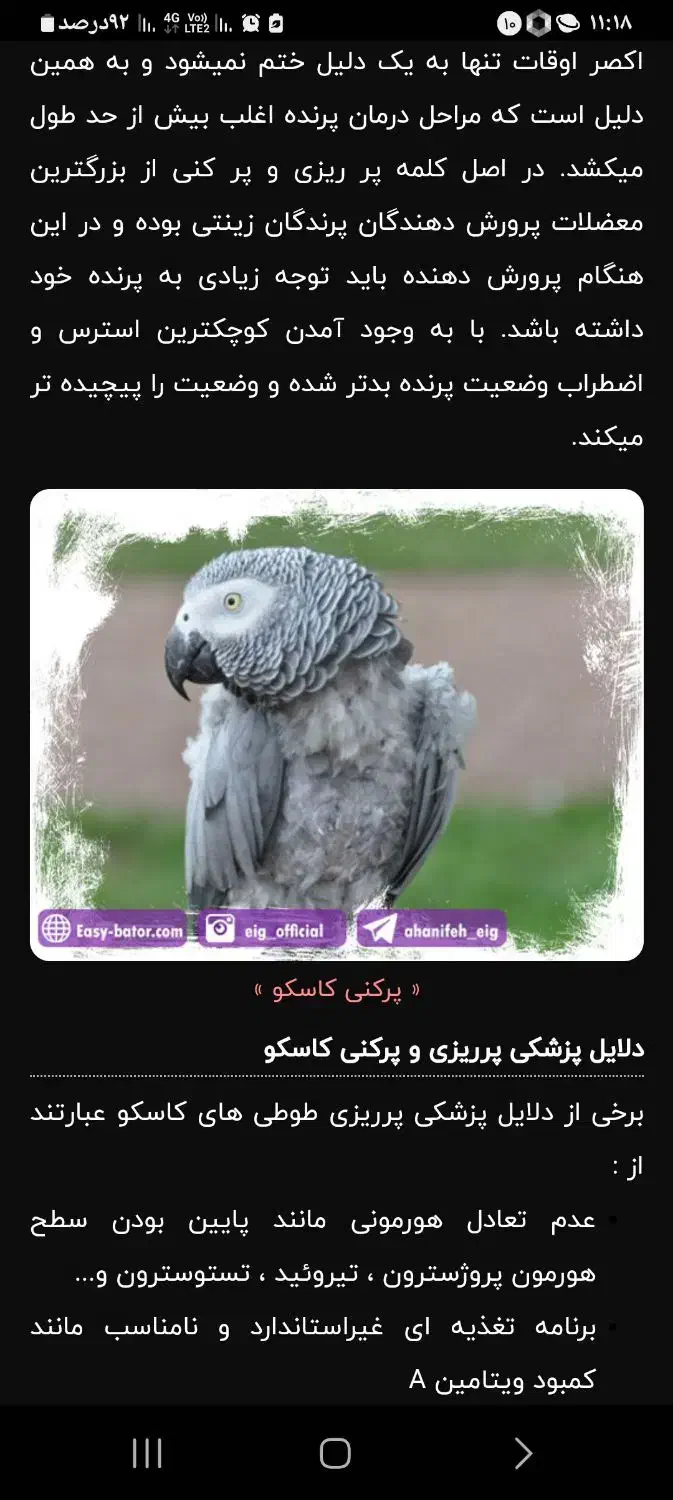 فروش کاسکو|پرنده|تهران, دهم فروردین|دیوار