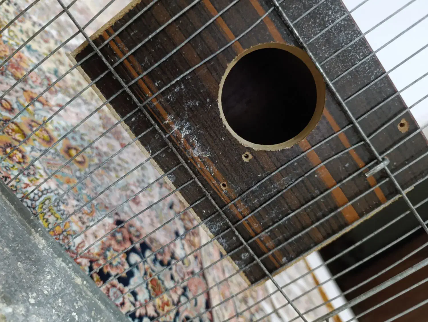 قفس پرنده|لوازم جانبی حیوانات|مراغه, |دیوار