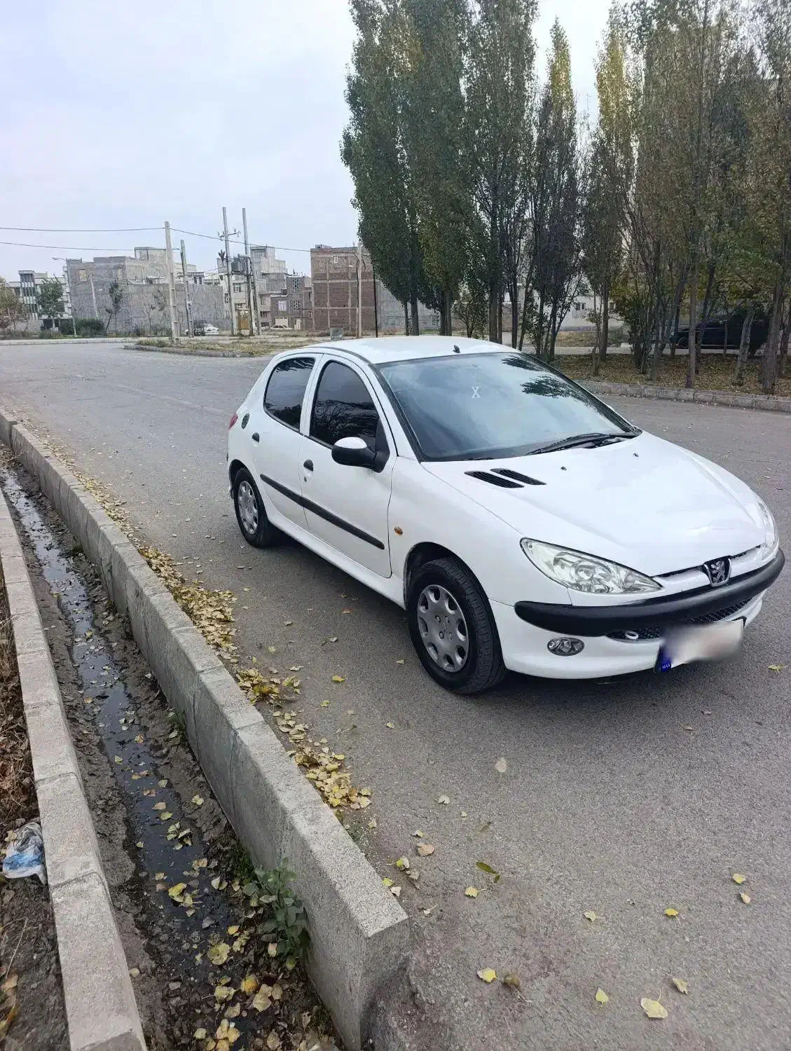 206 مدل 89|خودرو سواری و وانت|اردبیل, |دیوار