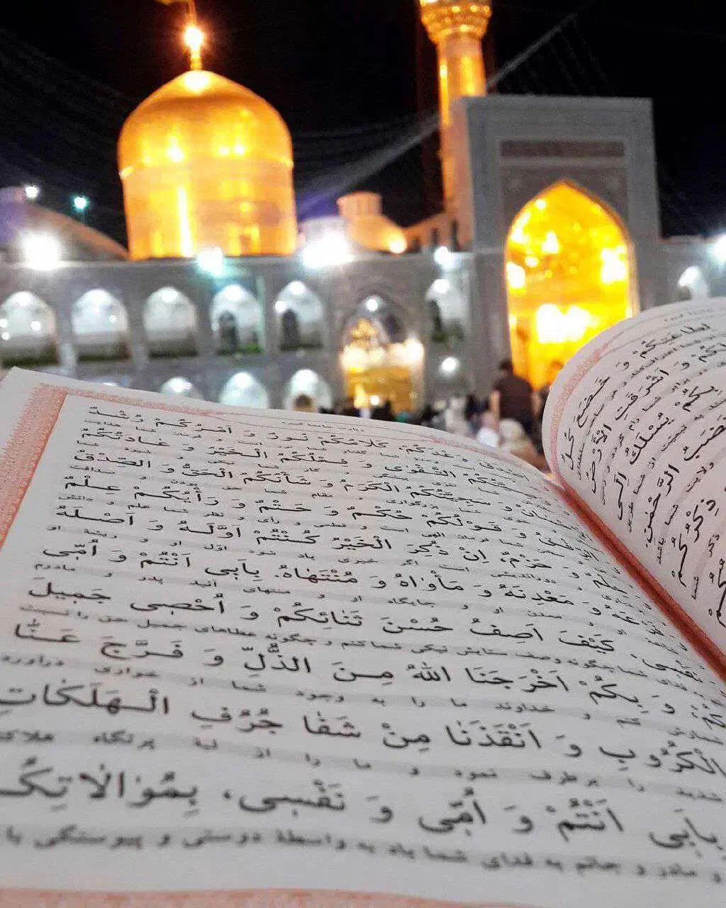 علوم غریبه|فعالیت داوطلبانه تحقیقاتی|بجنورد, |دیوار