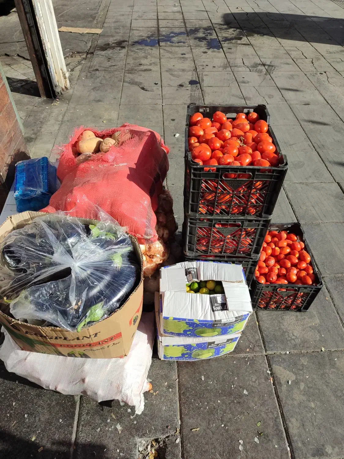 پخش تره بار رستوران و کبابی ها|عمدهفروشی|تهران, میدان میوه و ترهبار مرکزی|دیوار