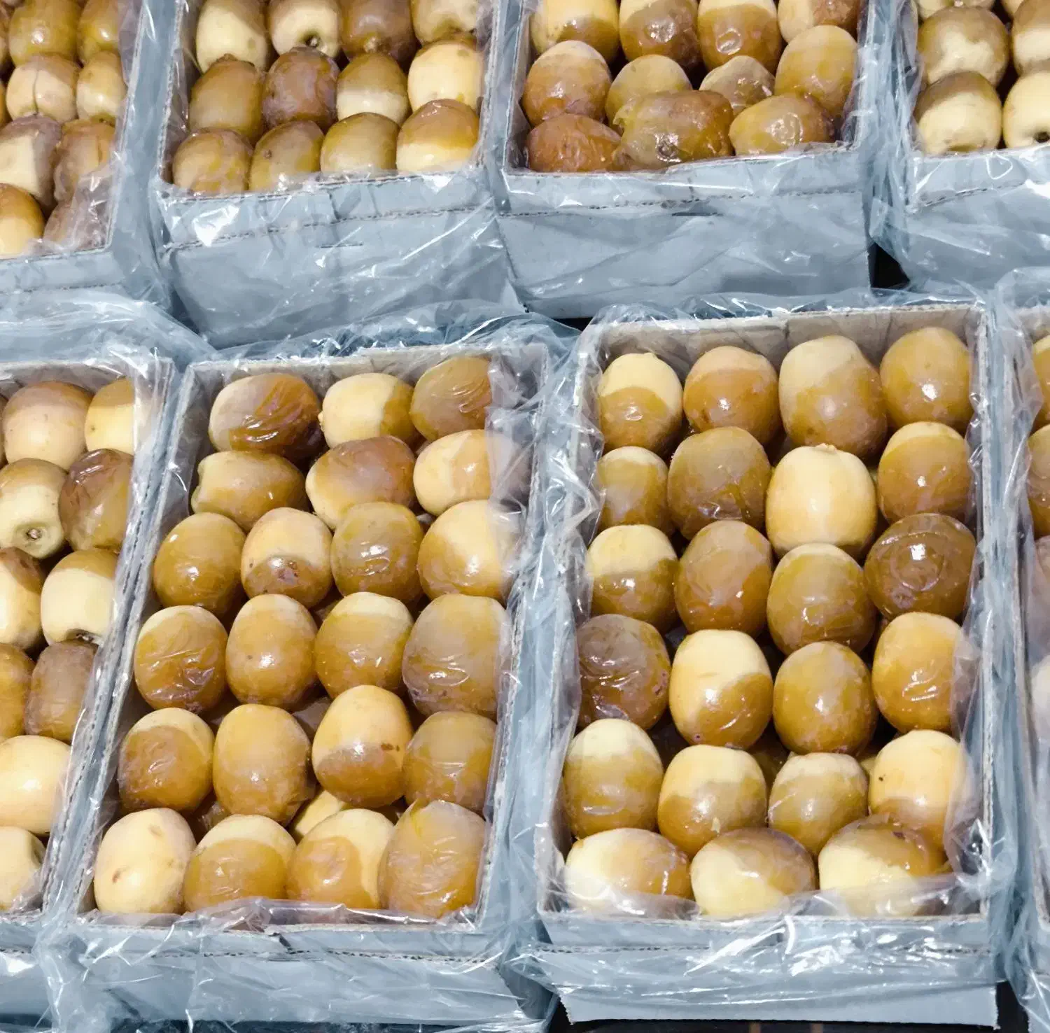 خرما هلیله،بزمانی ( برای ماه رمضان)|خوردنی و آشامیدنی|کرمان, |دیوار