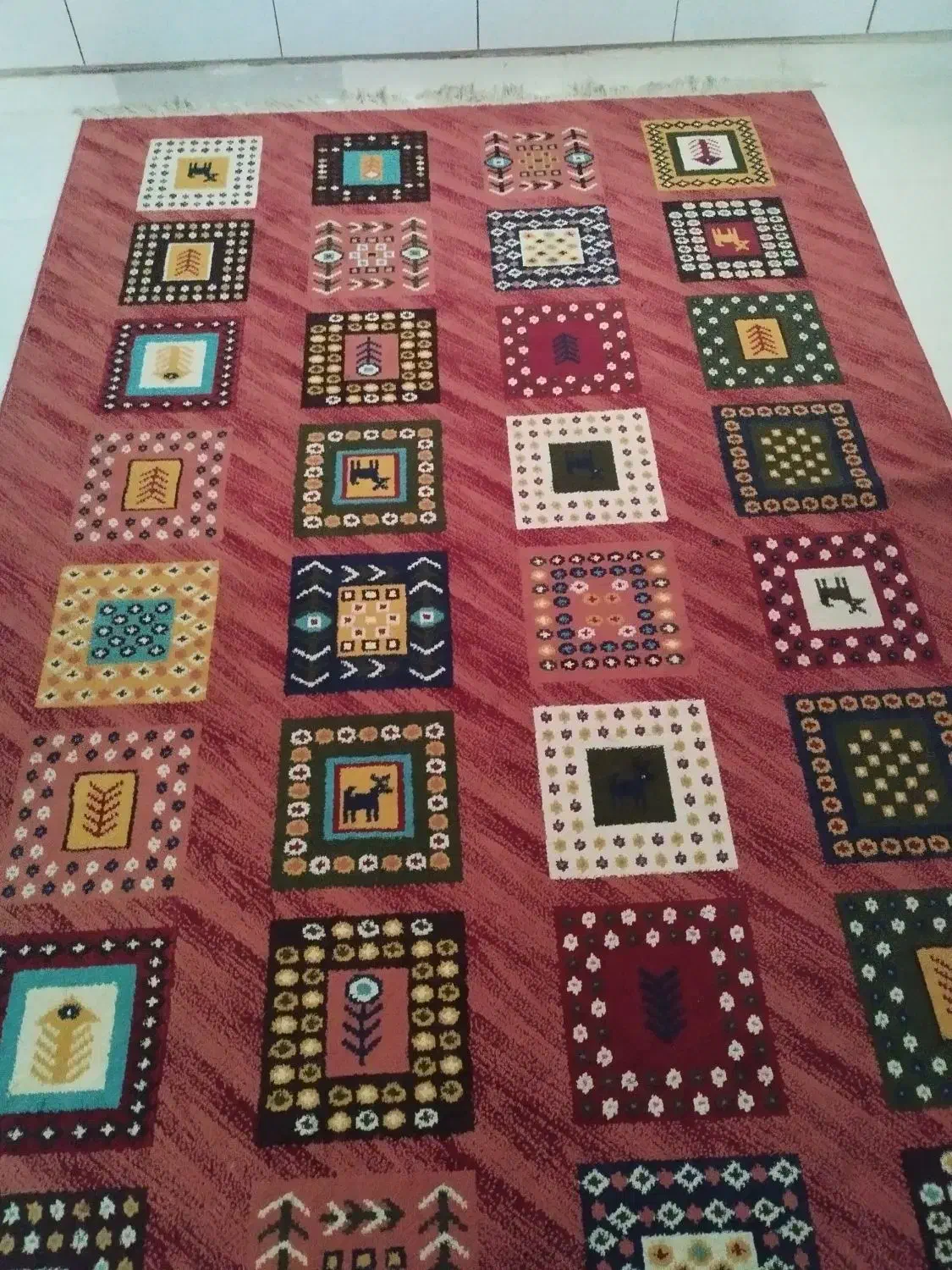 گلیم فرش ۶ متری در حد نو تمیز|گلیم، جاجیم، گبه|دهلران, |دیوار