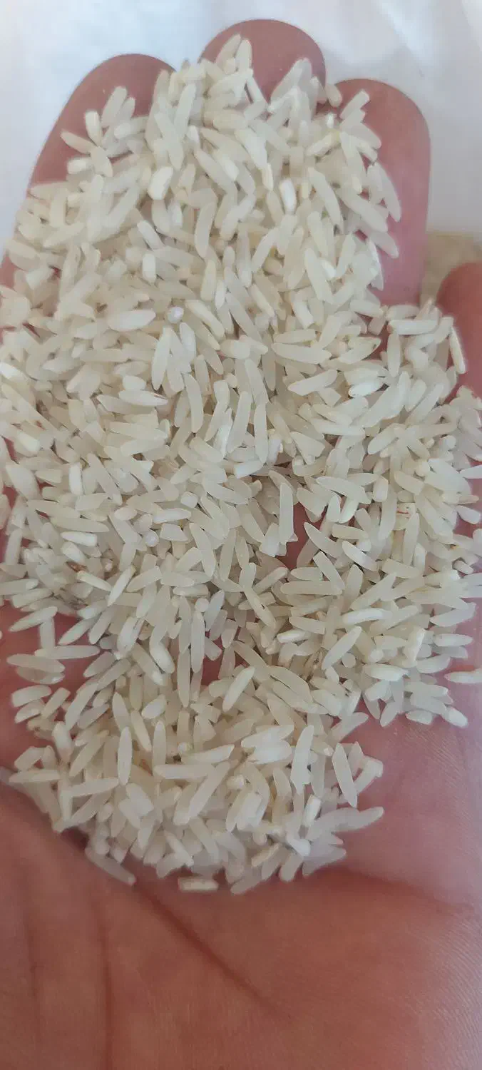 لاشه برنج فجر طارم بسیار درشت ۸۰درصد سالم.معطر|خوردنی و آشامیدنی|زنجان, |دیوار