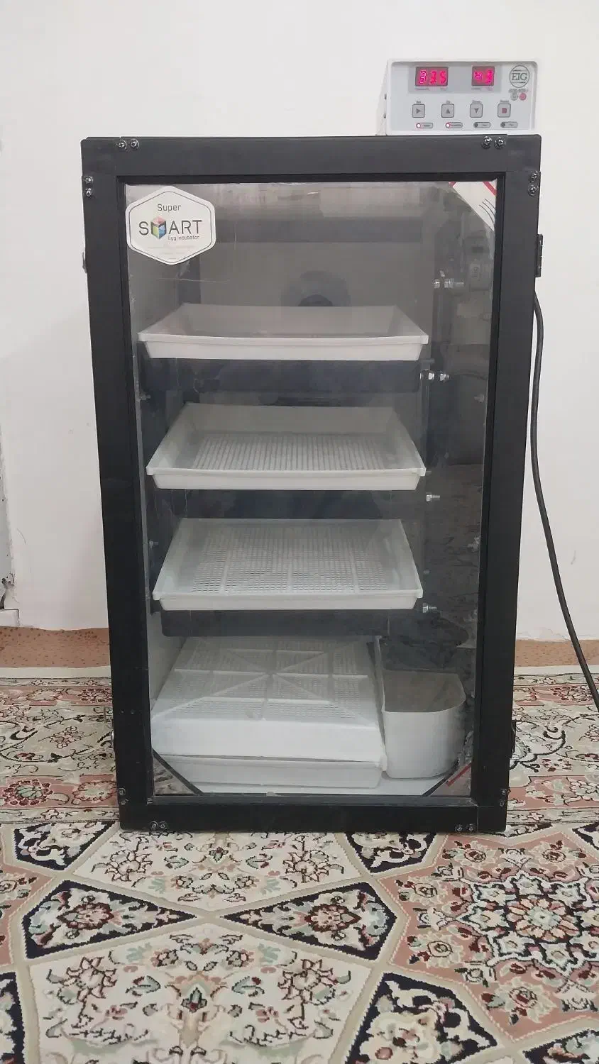 دستگاه جوجه کشی ۱۶۸تایی اسکندری|لوازم جانبی حیوانات|مشهد, امیریه|دیوار