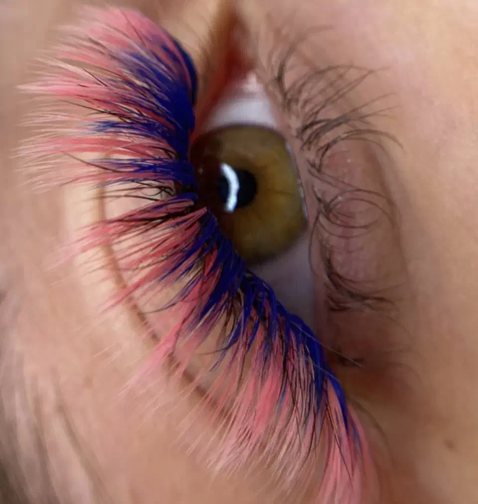 آموزش کاشت مژه و ناخن با مدرک|خدمات آموزشی|مشگین شهر, |دیوار