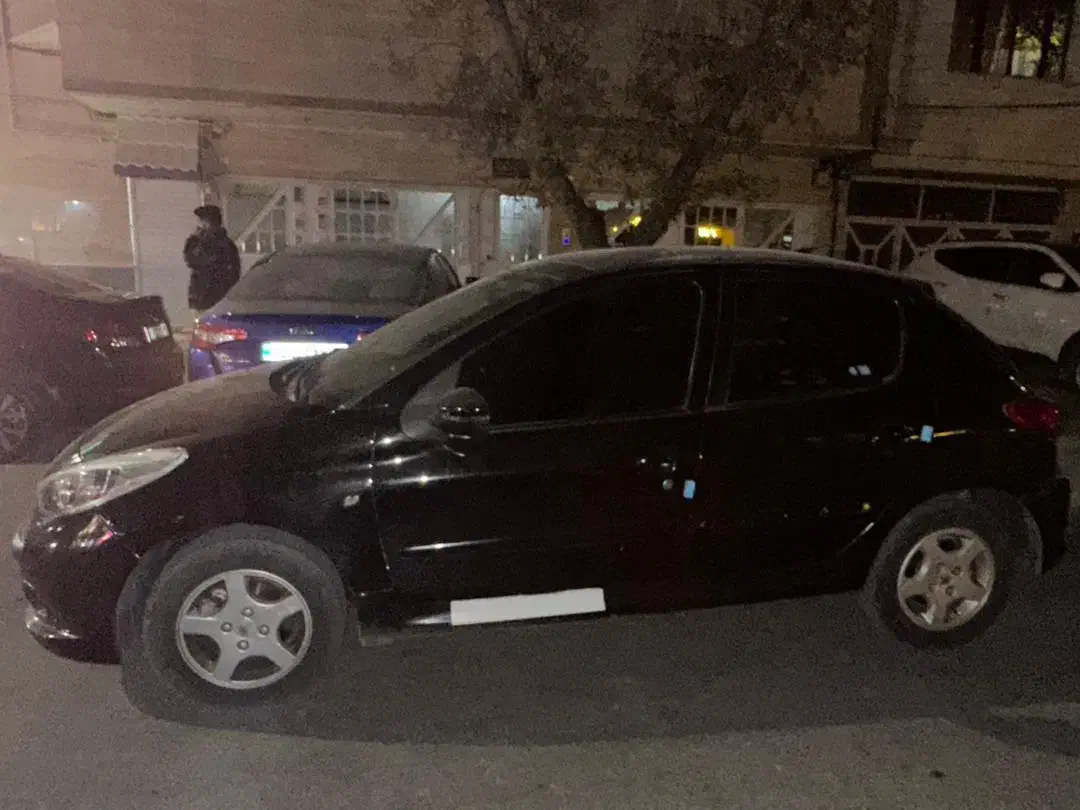 207پانا|خودرو سواری و وانت|مشهد, عیدگاه|دیوار