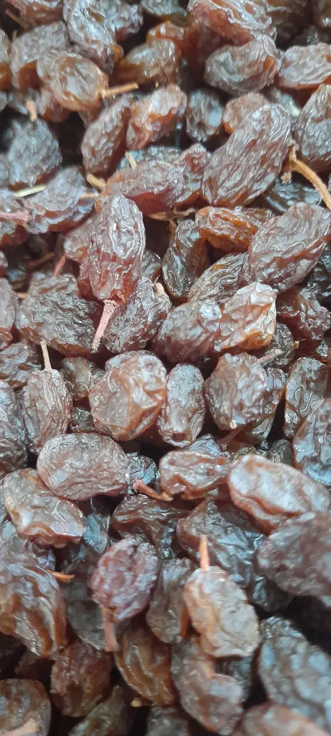 کشمش بیدانه|خوردنی و آشامیدنی|تاکستان, |دیوار