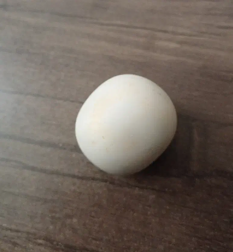 سنگ الماس آسیاب|جواهرات|اندیشه, اندیشه فاز ۱|دیوار