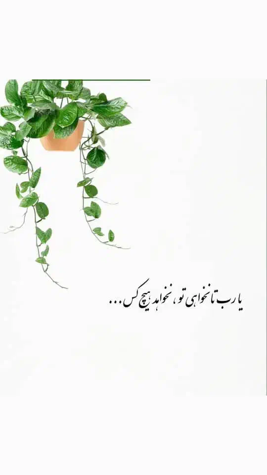 سیم کارت رند|سیمکارت|تهران, تهرانپارس غربی|دیوار