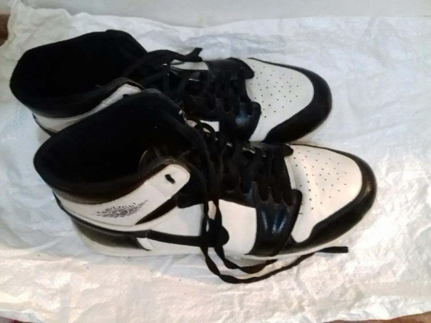 کفش|کیف، کفش، کمربند|شیروان (خراسان), |دیوار