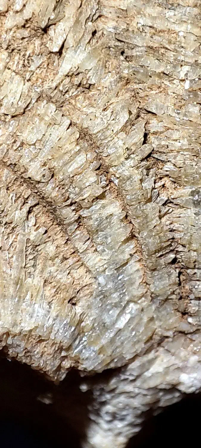 فسیل|کلکسیون اشیاء عتیقه|تهران, طرشت|دیوار