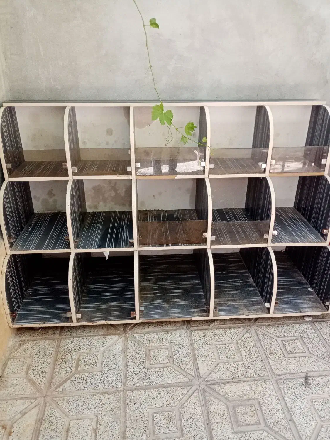 جاآجیلی امدیاف و ویترین|بوفه، ویترین، کنسول|سربیشه, |دیوار