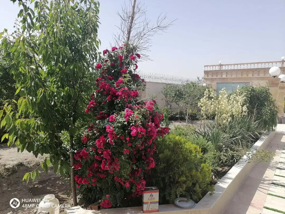 راهنمای خرید و فروش ملک در ویرانی|فعالیت داوطلبانه تحقیقاتی|مشهد, وکیل‌آباد|دیوار