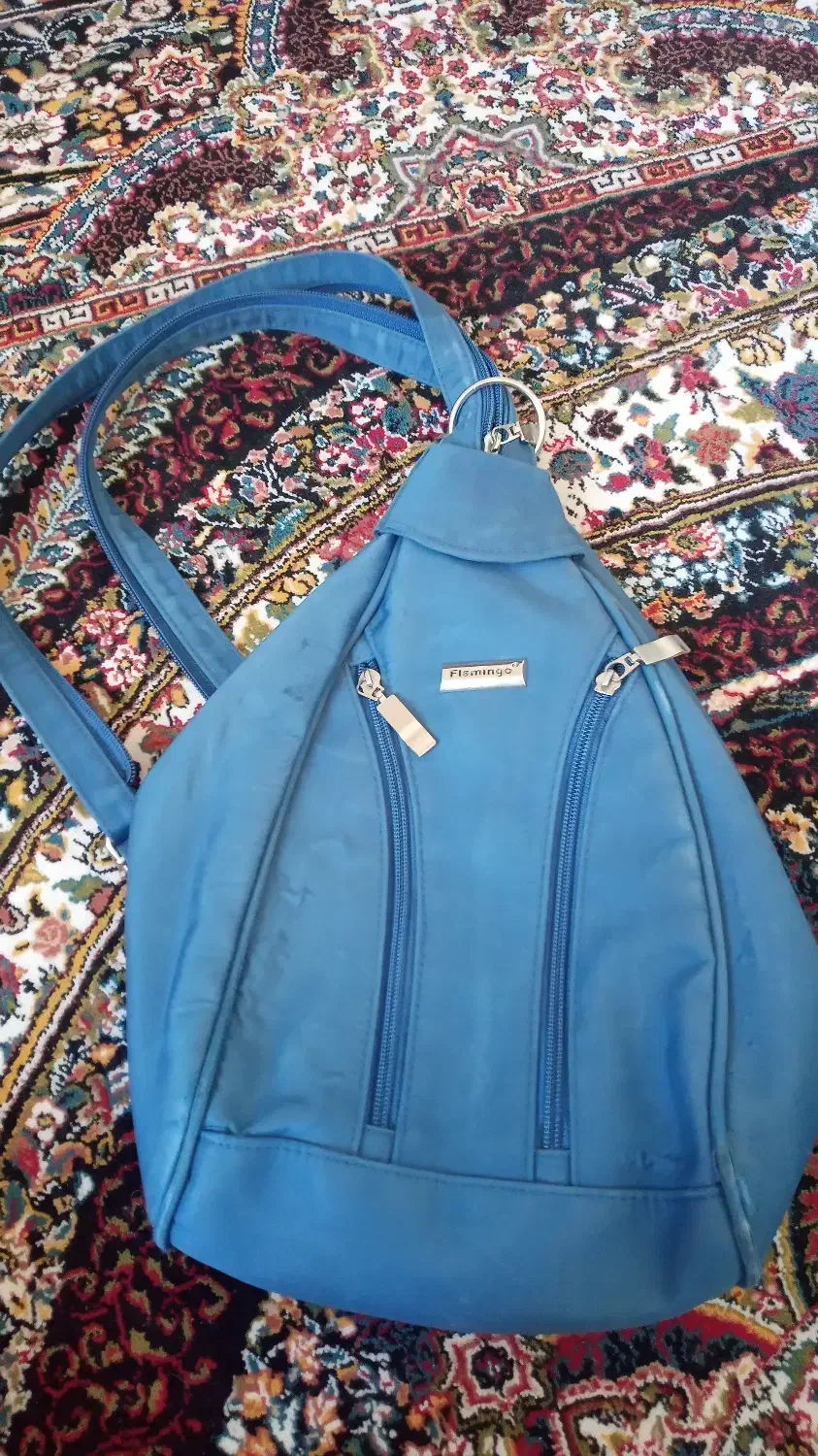 کیف دستی|کیف، کفش، کمربند|اهر, |دیوار