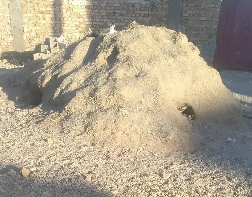 کارگرساده کنتراتی حمل مصالح ازپله ماسه گچ هستم|خدمات پیشه و مهارت|زاهدان, |دیوار