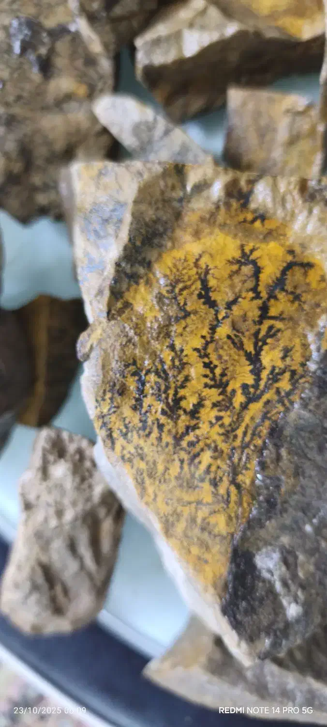 سنگ شجرکلکسیونی|کلکسیون اشیاء عتیقه|مشهد, هفده شهریور|دیوار