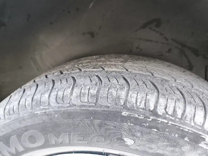 لاستیک هانکوک ۲۰۵ /۶۰/۱۴|قطعات یدکی و لوازم جانبی|شیراز, انجیر|دیوار