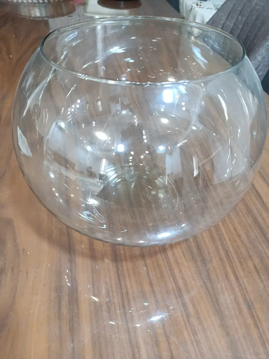 ظروف|ظروف سرو و پذیرایی|سیرجان, |دیوار