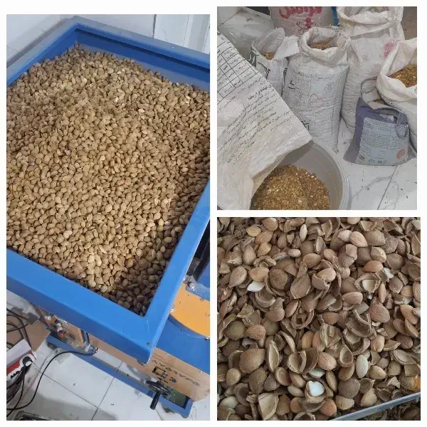 بادام،گردو،هسته شیرین وتلخ زردآلو،بنه،سنجد و|خوردنی و آشامیدنی|کرمان, |دیوار