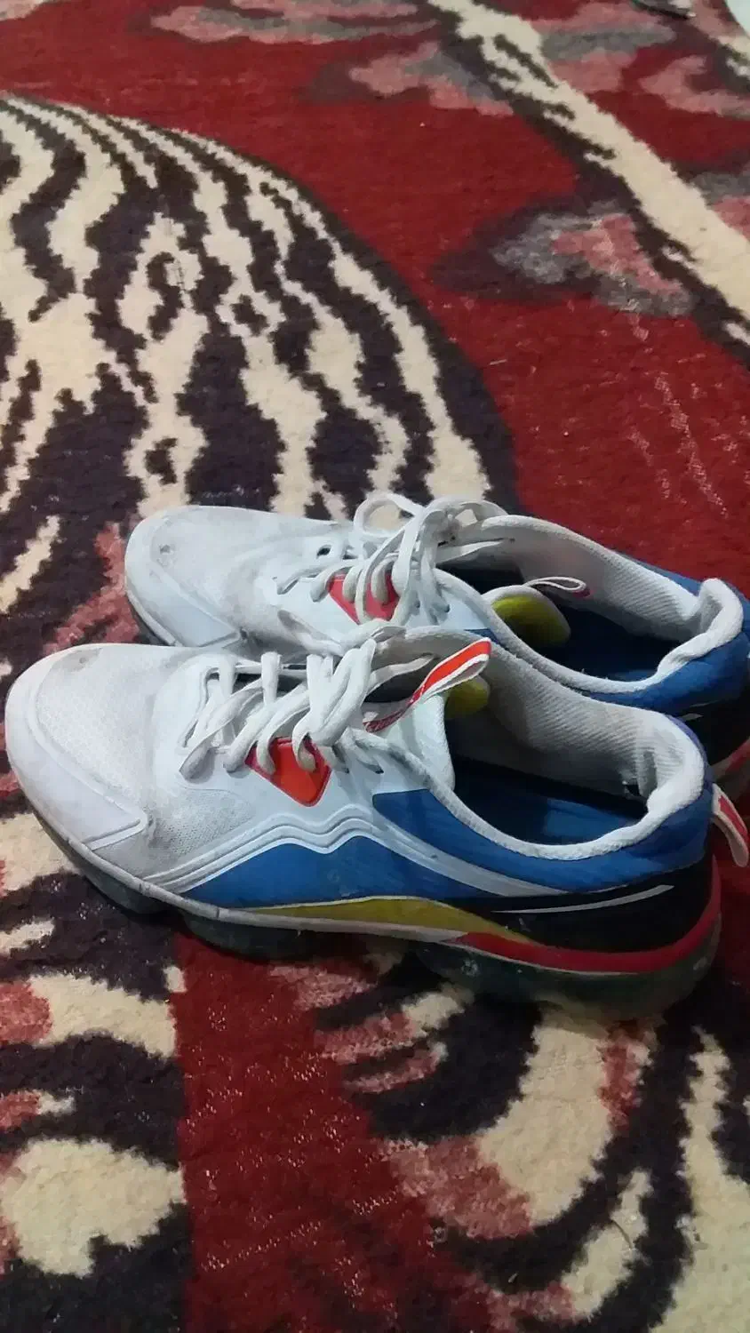 کفش|کیف، کفش، کمربند|سراب, |دیوار