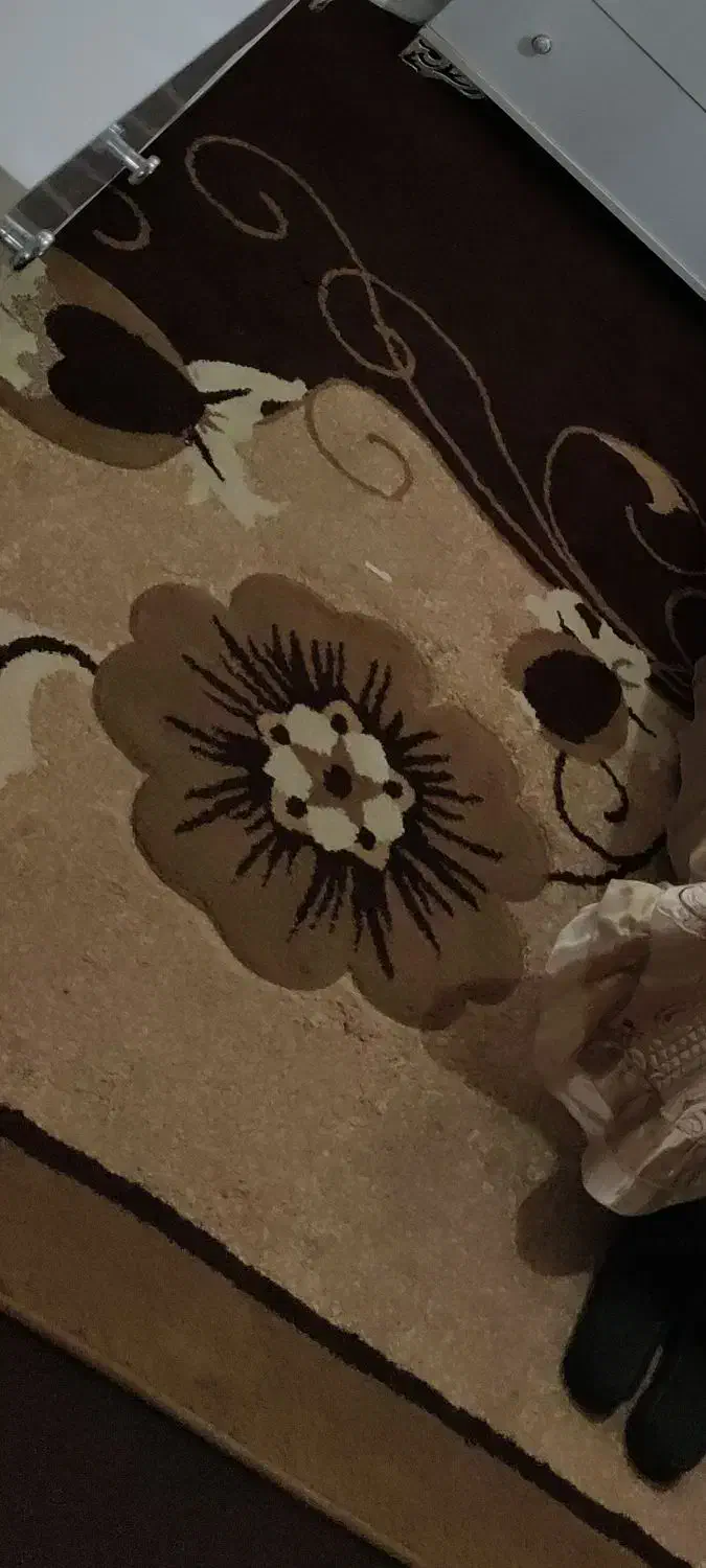 گلیم|گلیم، جاجیم، گبه|تربت‌حیدریه, جانبازان|دیوار