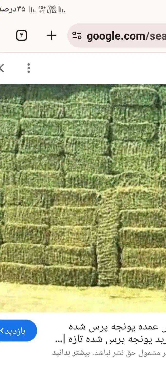 یونجه درجه یک|حیوانات مزرعه|زالیان, |دیوار