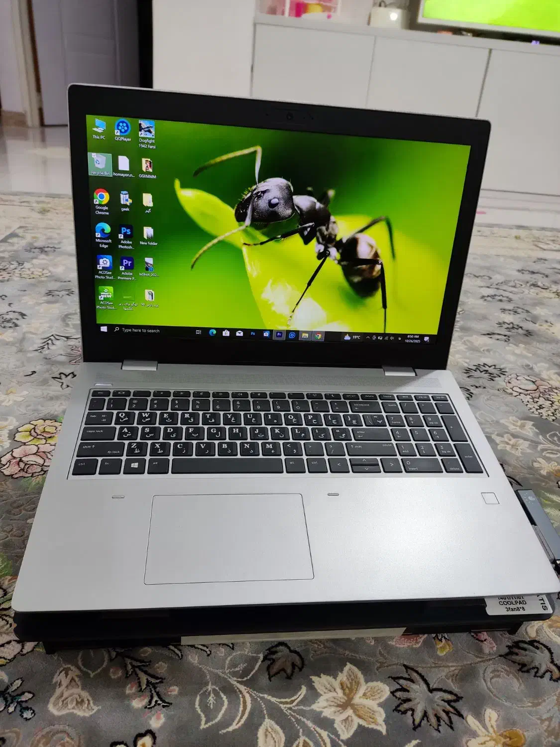 لب تاب HP 650 G5|رایانه همراه|تالش, هشتپر|دیوار