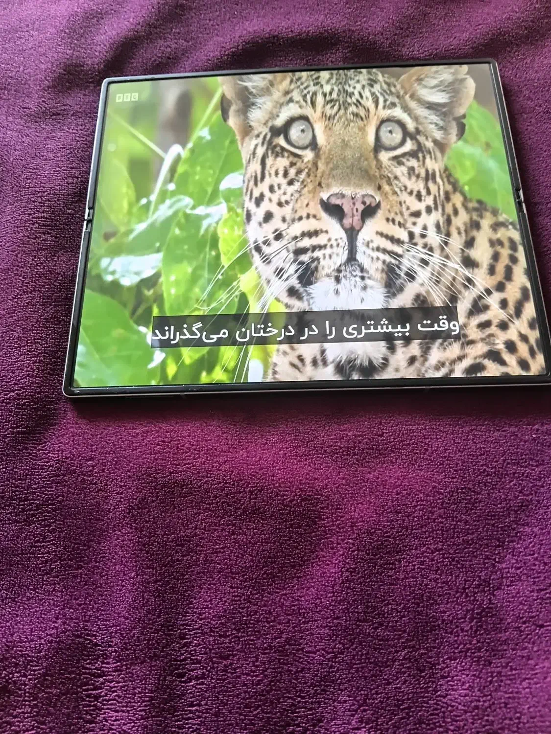 z fold6|موبایل|تبریز, |دیوار