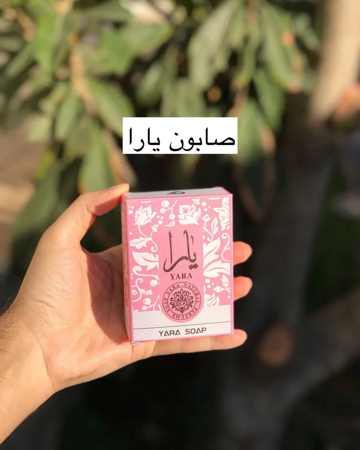 صابون بیکینی و کشاله ران یارا کرم|آرایشی، بهداشتی، درمانی|بندرعباس, |دیوار