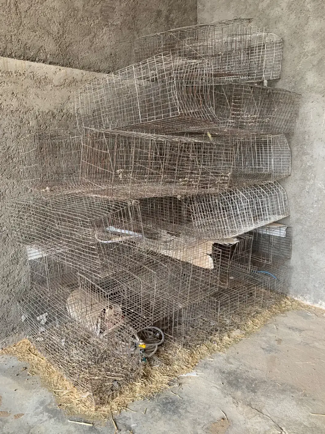 فروش قفس مبری|لوازم جانبی حیوانات|یزد, |دیوار