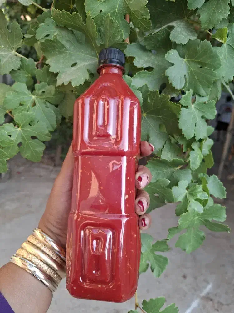 رب فلفلی سیری|خوردنی و آشامیدنی|شیراز, ابیوردی|دیوار