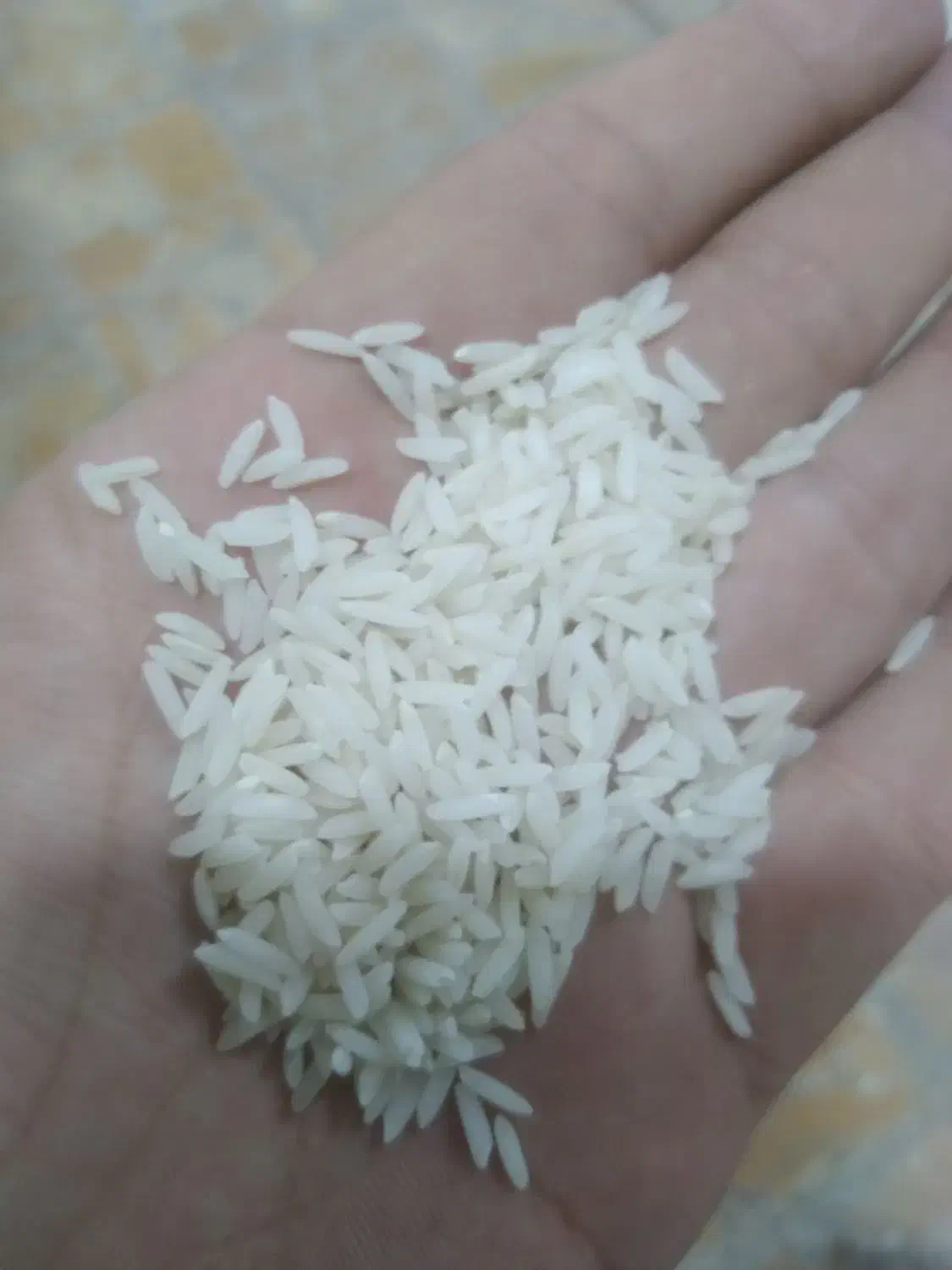 برنج هاشمی گیلان|خوردنی و آشامیدنی|رودبنه, |دیوار