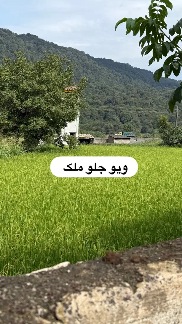 ویلا باغ 1150 متری در جاده هراز نزدیک تهران|فروش خانه و ویلا|امامزاده عبدالله, |دیوار