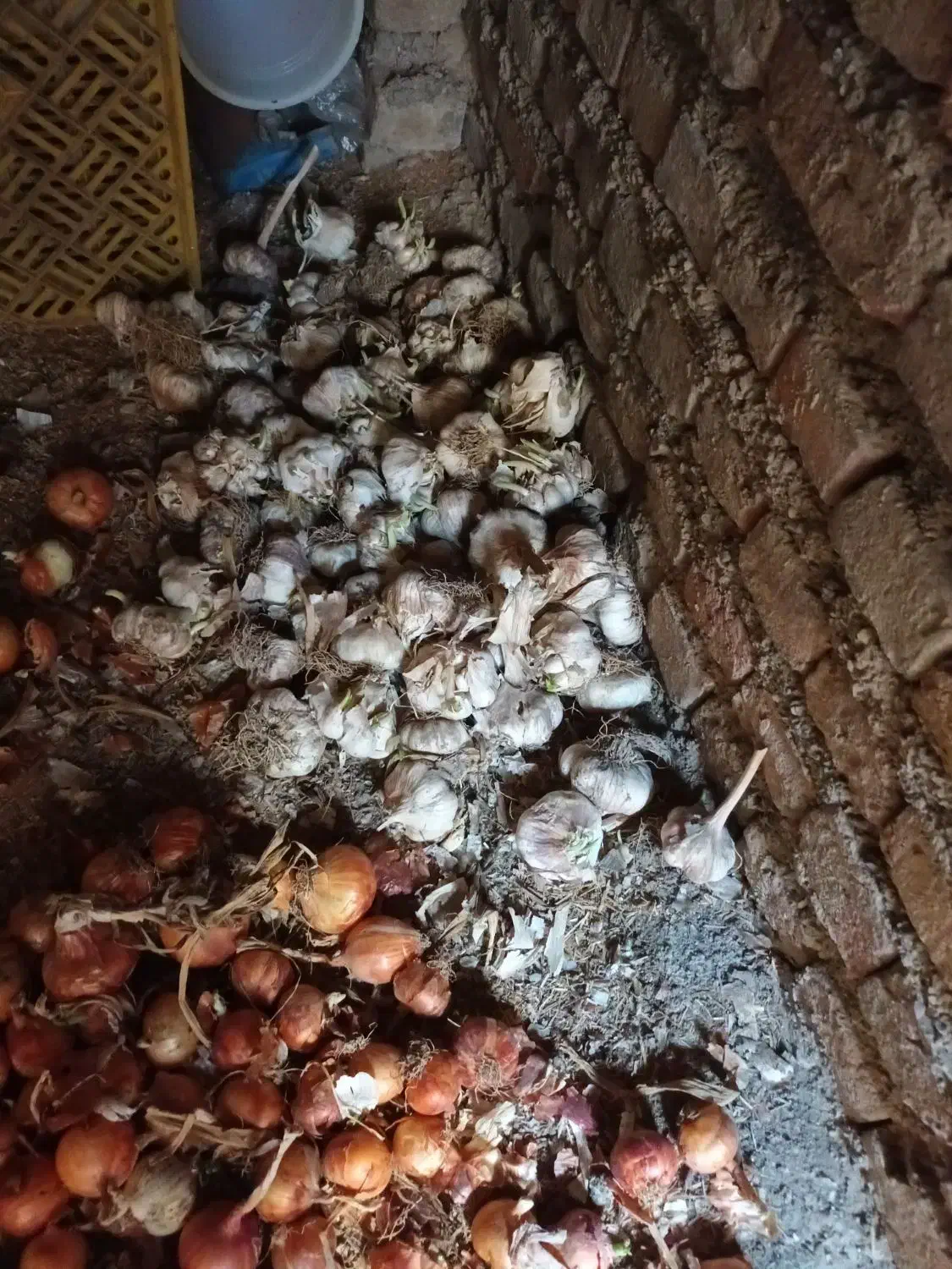 سیرخانگی|خوردنی و آشامیدنی|خان ببین, |دیوار