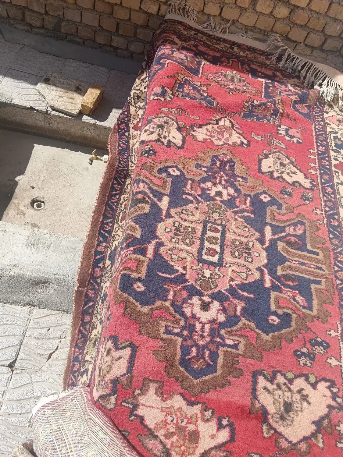 فرش 6 متری|فرش|اصفهان, شاه پسند|دیوار