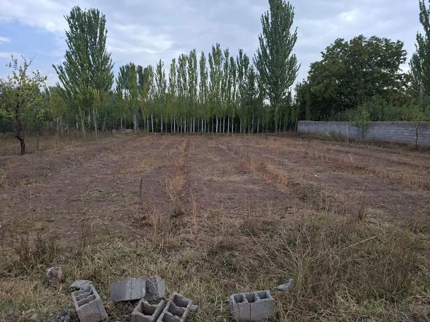 زمین باغ در فیرورق ۱۲۰۰ متری|فروش زمین و ملک کلنگی|فیرورق, |دیوار