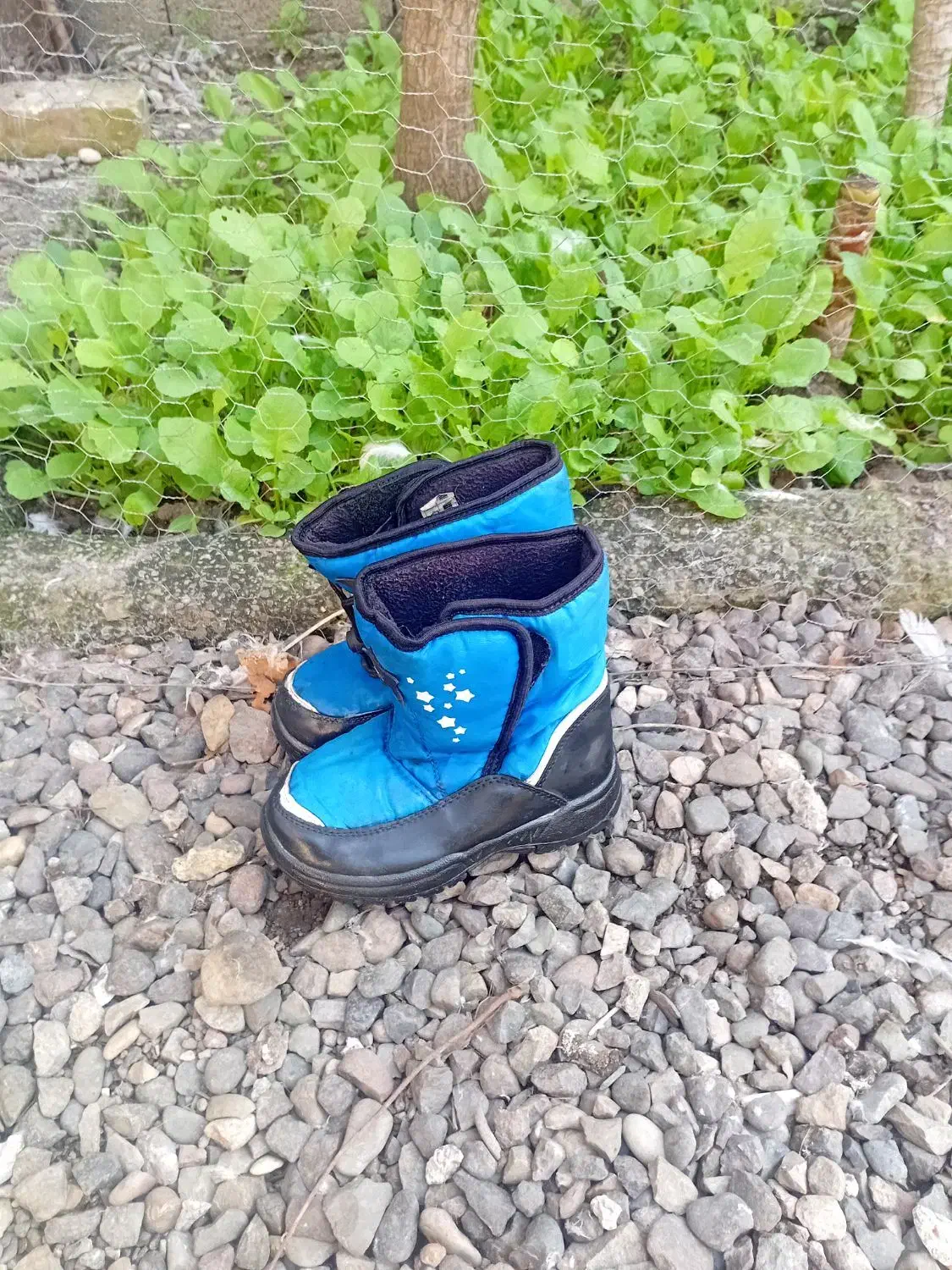 کفش وچکمه بچه گانه|کفش و لباس بچه|لاهیجان, گلستان|دیوار