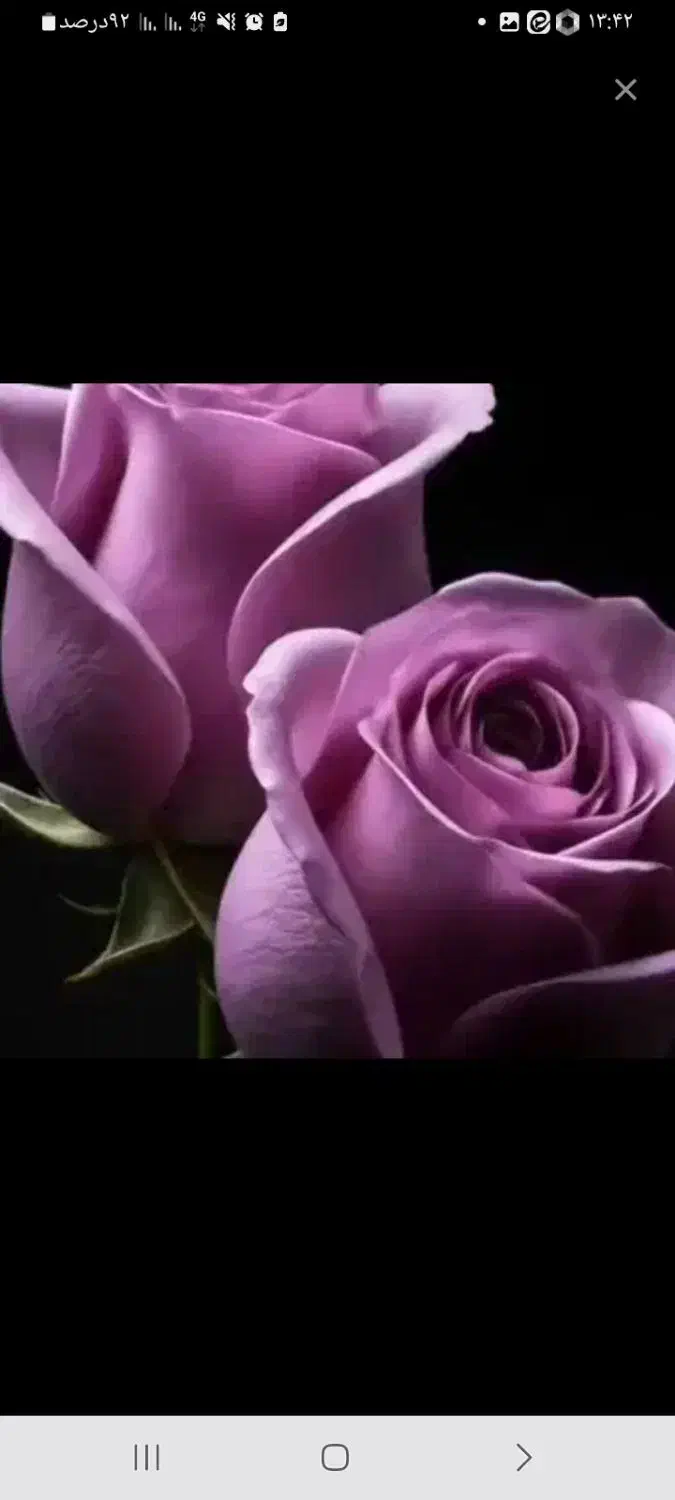 راهنمایی|فعالیت داوطلبانه تحقیقاتی|قم, پردیسان|دیوار