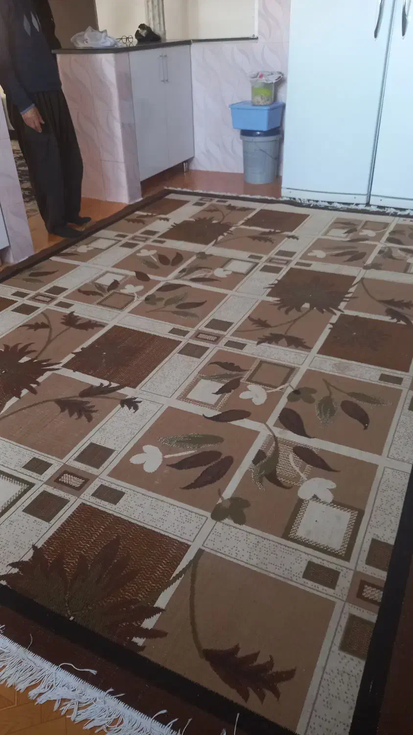 یک عدد فرش 12 متری و گلیم 9متر هردو سالم بدون پاگی|فرش|مهاباد (آذربایجان غربی), |دیوار