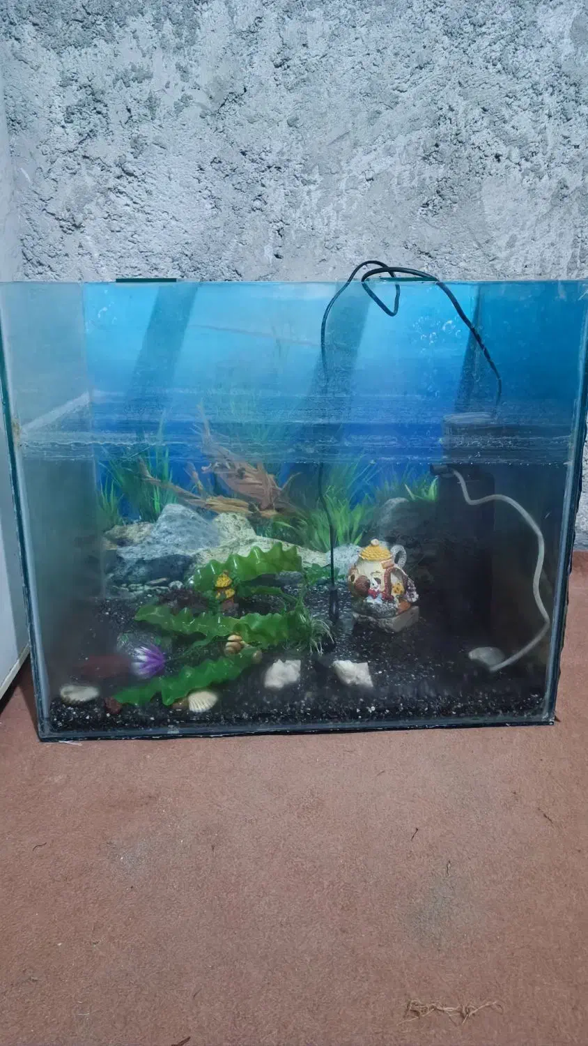 اکواریم|ماهی|ایرانشهر, |دیوار