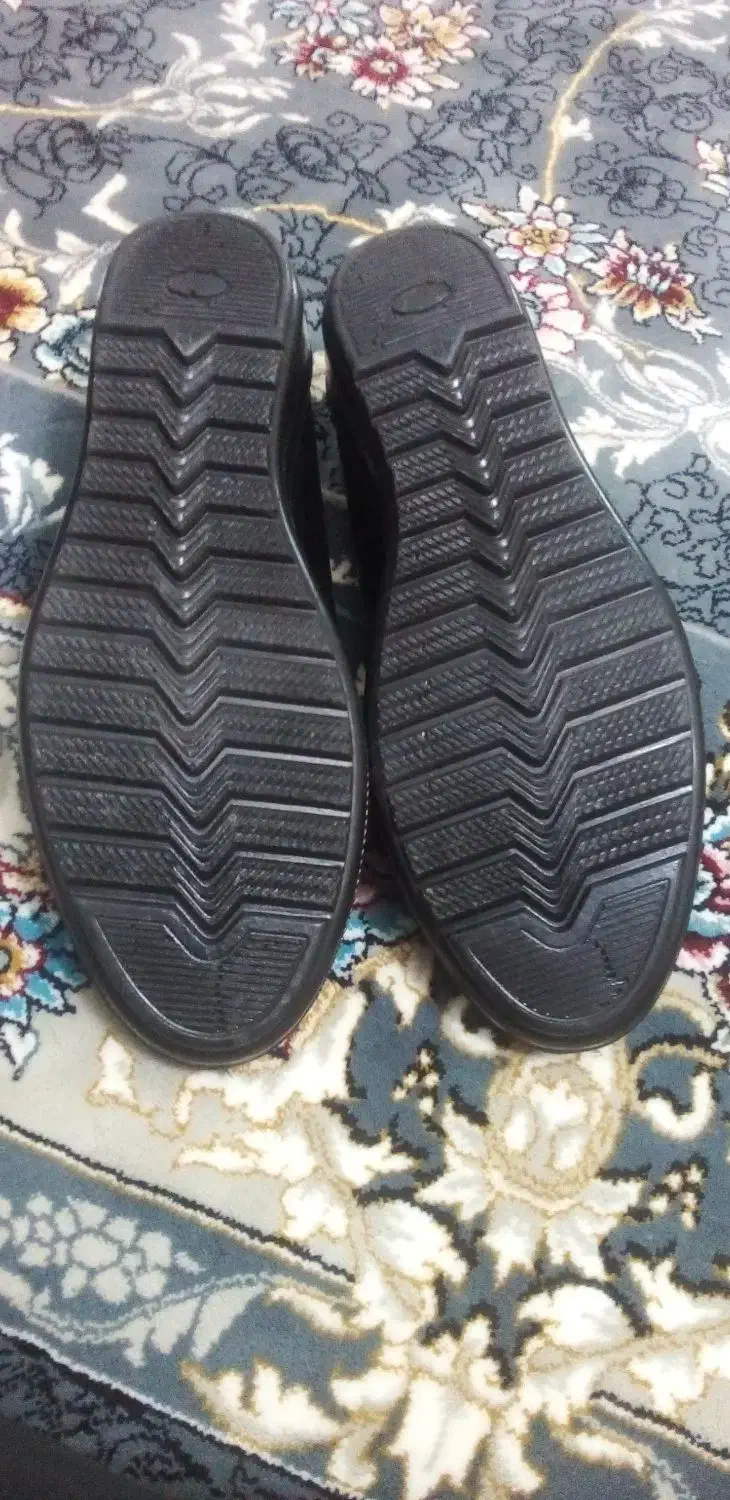 کفش نو|کیف، کفش، کمربند|قروه, |دیوار