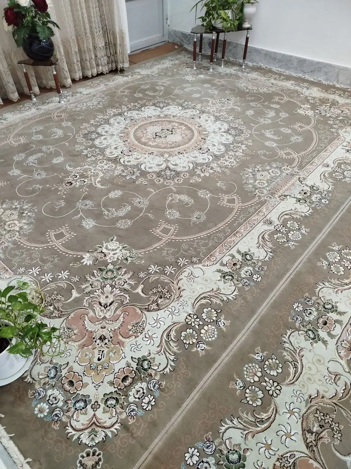 فرش|فرش|تربت‌حیدریه, آغوی|دیوار