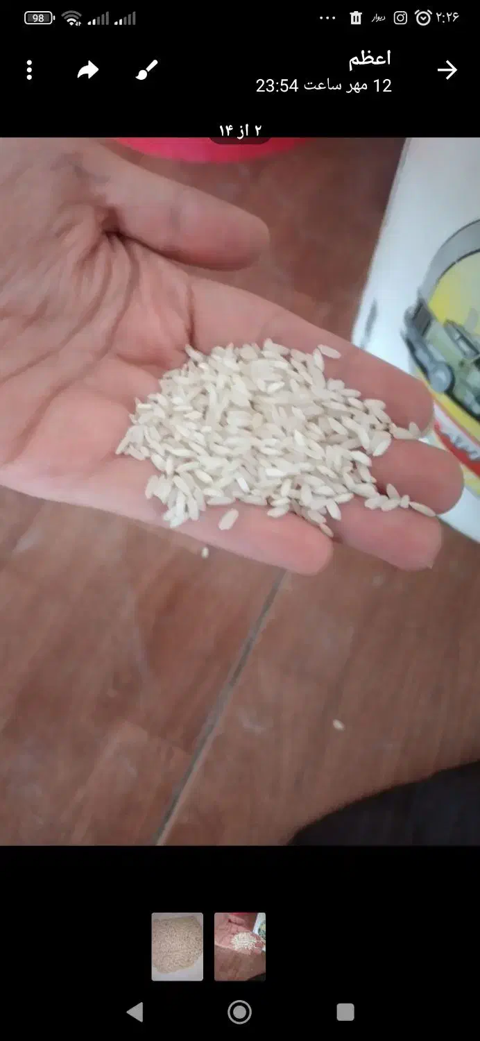 برنج نیم دانه|خوردنی و آشامیدنی|صحنه, |دیوار