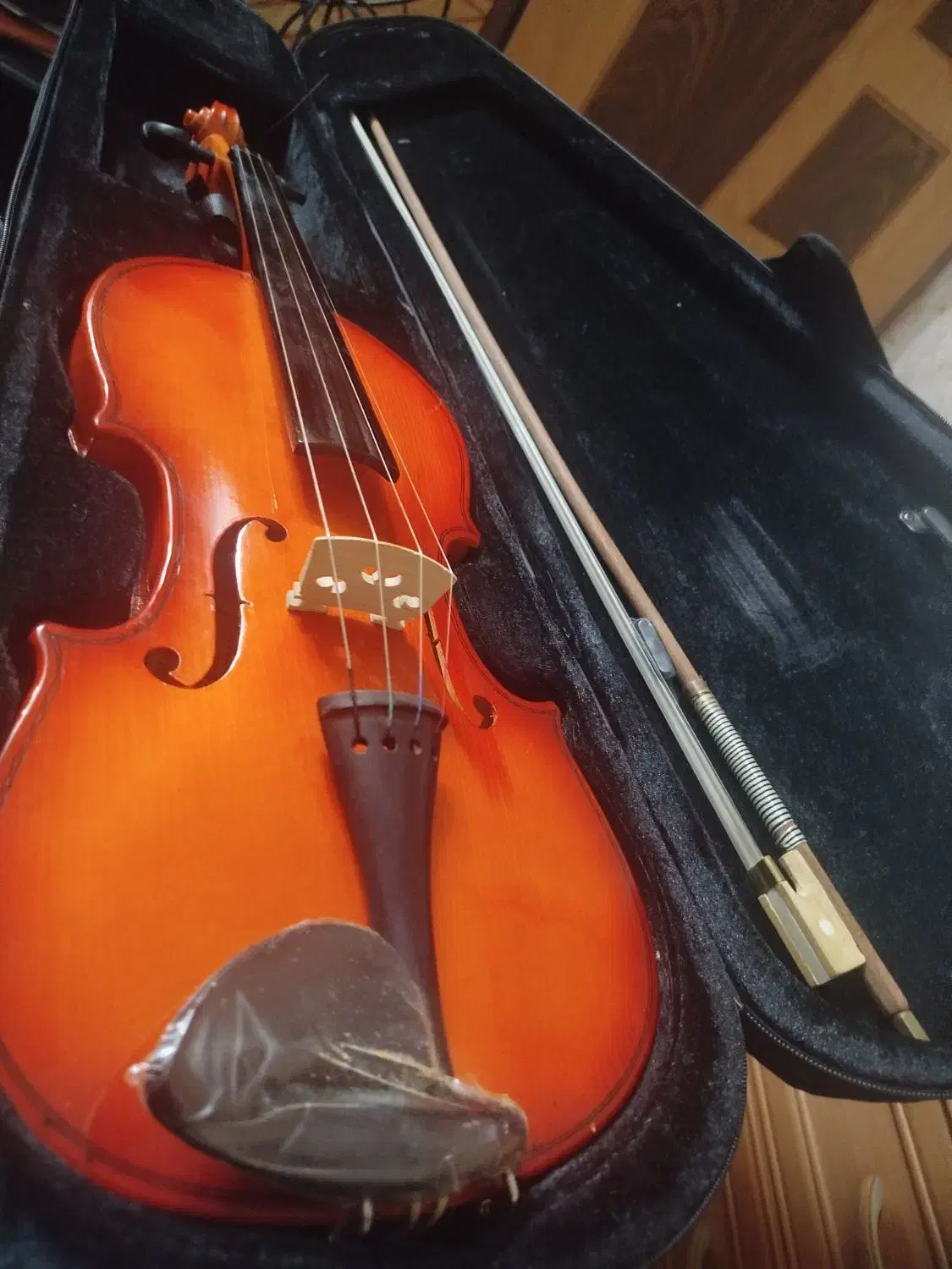 ویولن نو و قدیمی|ویولن|خمینیشهر, |دیوار