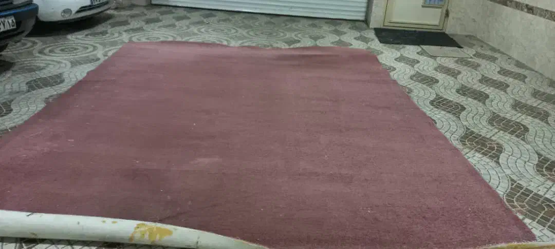 موکت کلفت ۱۲ متری|موکت|تبریز, |دیوار